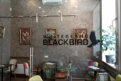 Whitebeard blackbird enteriör